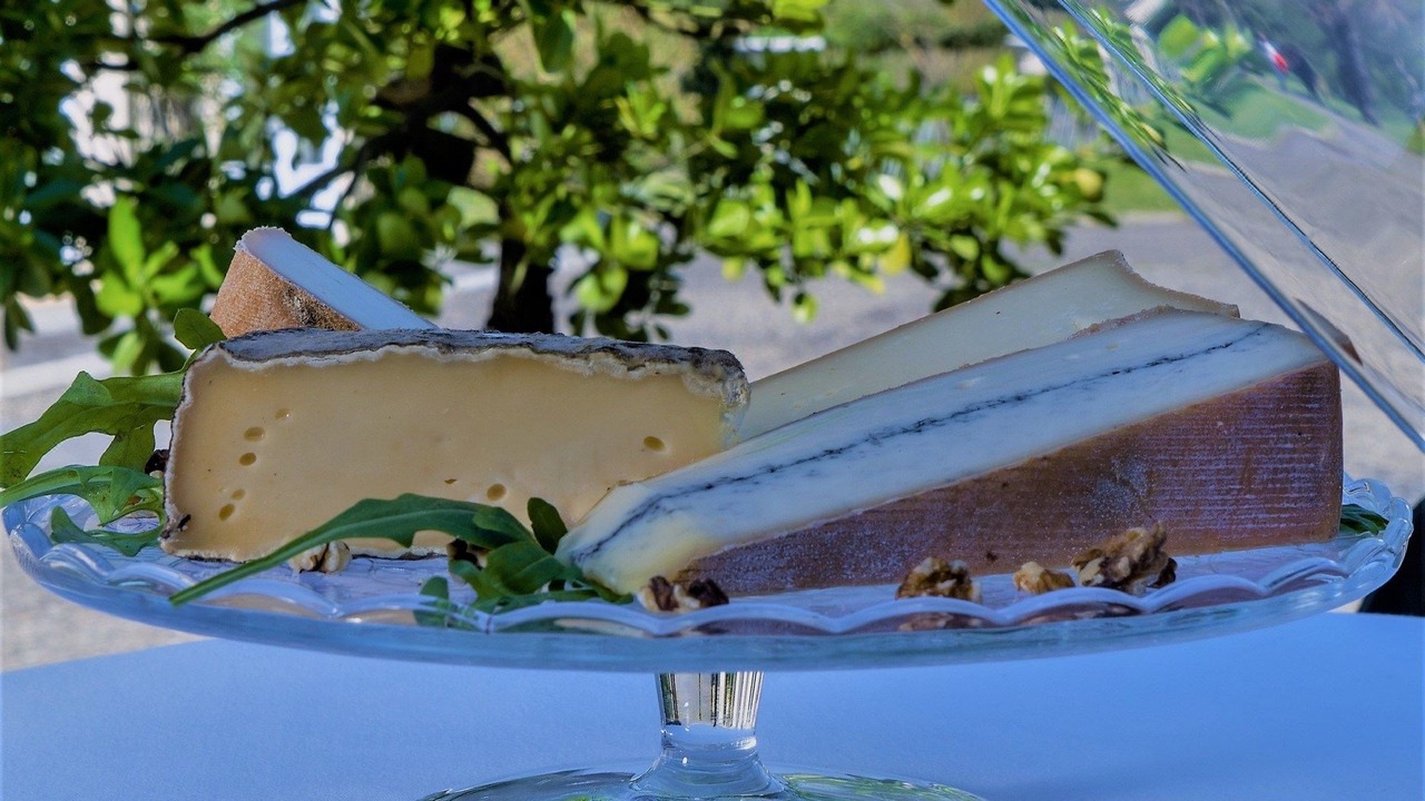 Photo of Buildings in Colomiers