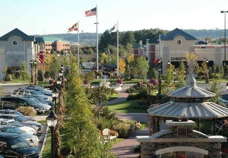 Photo of Others in Hunt Valley