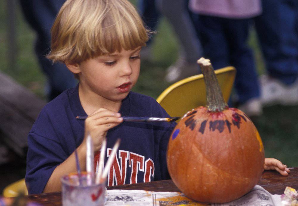 Photo of Human In Picture in Tarrytown