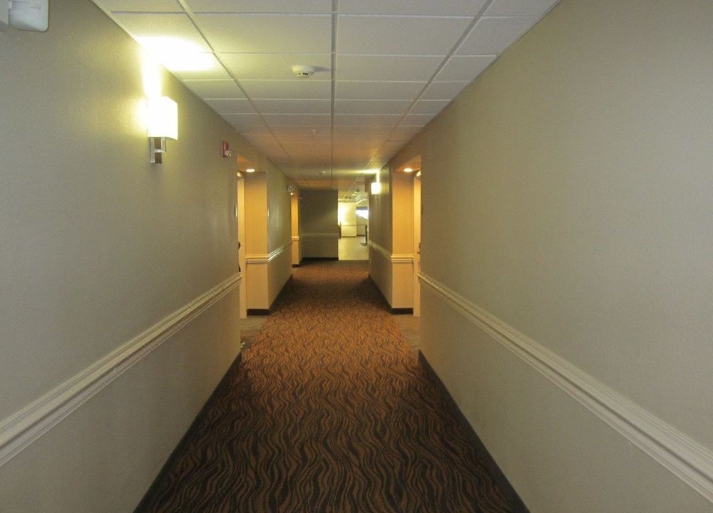 Photo of Others in Albemarle