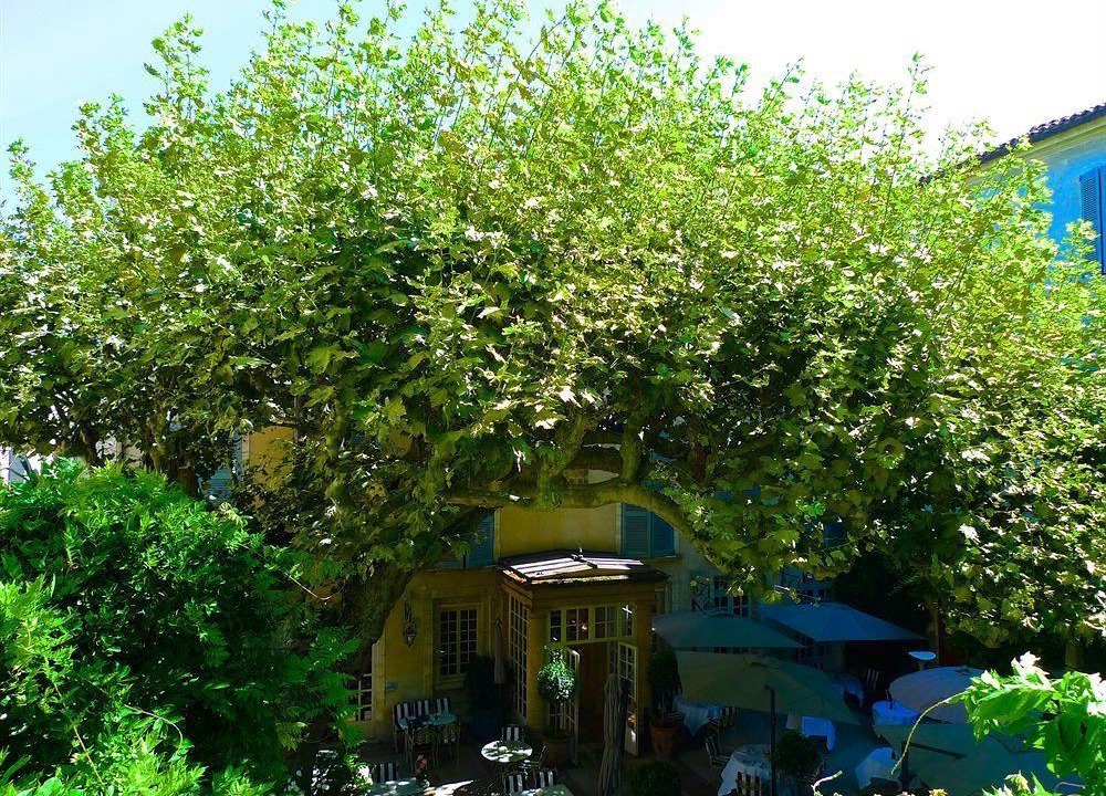 Photo of Others in Avignon City Centre
