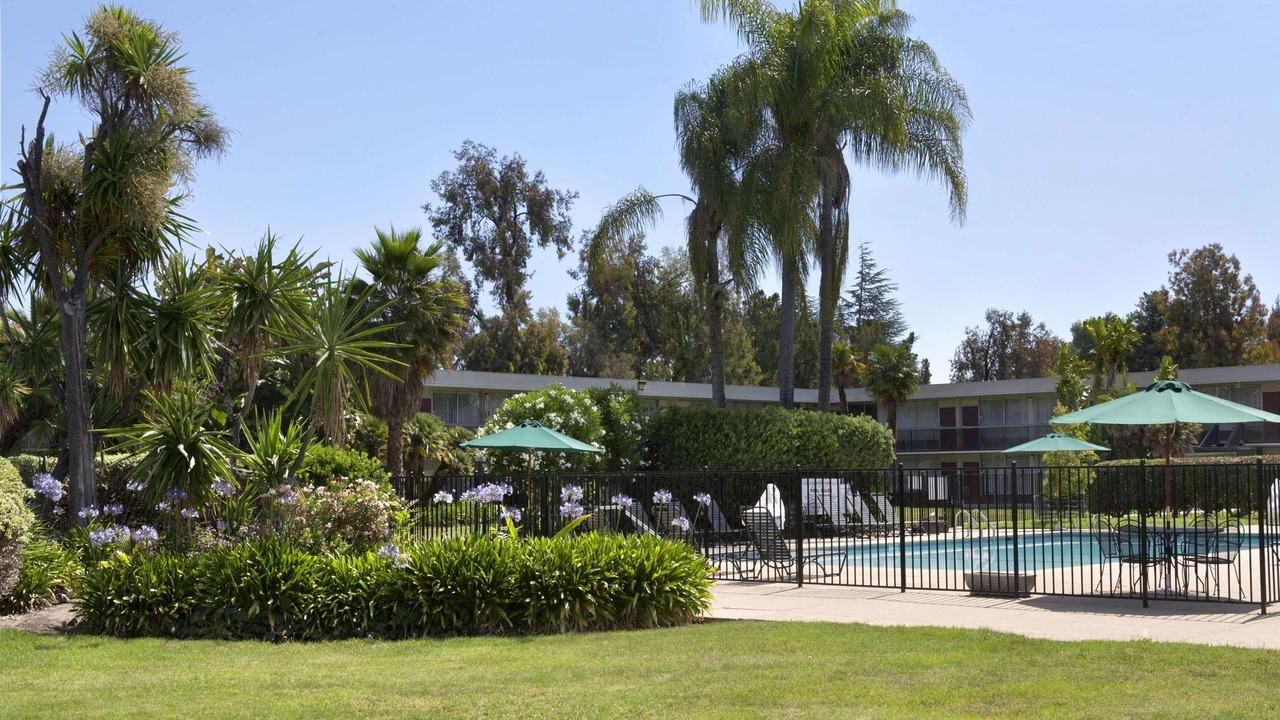 Photo of Others in Sunnyvale