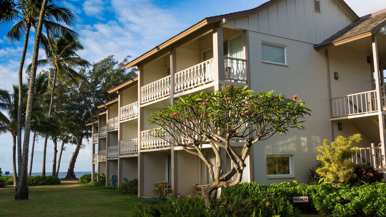 Photo of Buildings in Wailua
