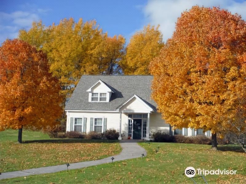 Photo of Buildings in Vergennes