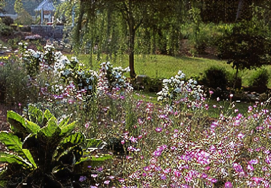 Photo of Outdoor in Braselton