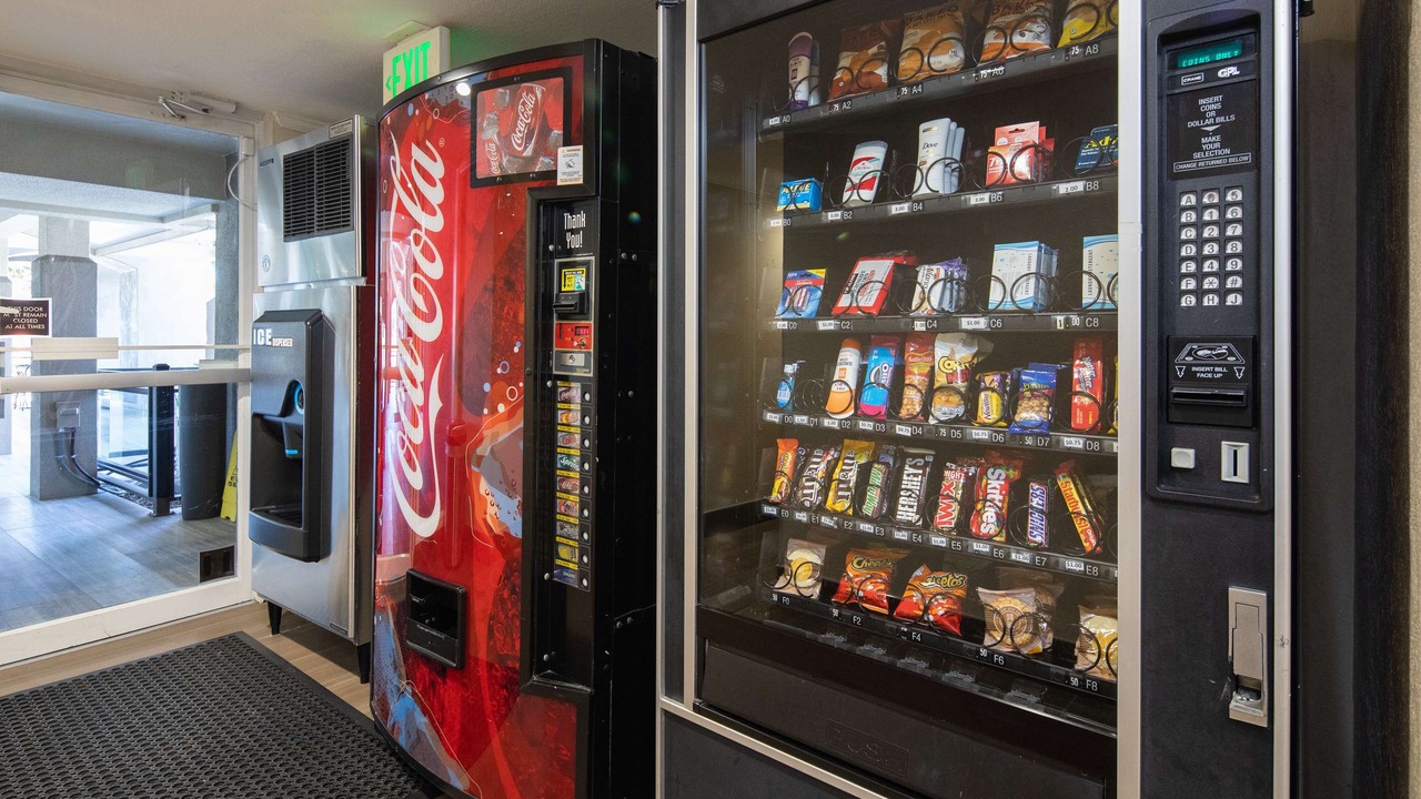 Photo of Others in Snail