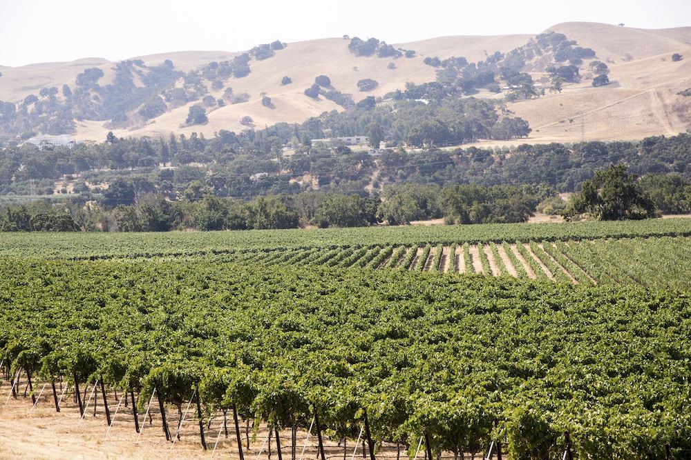 Photo of Outdoor in Livermore