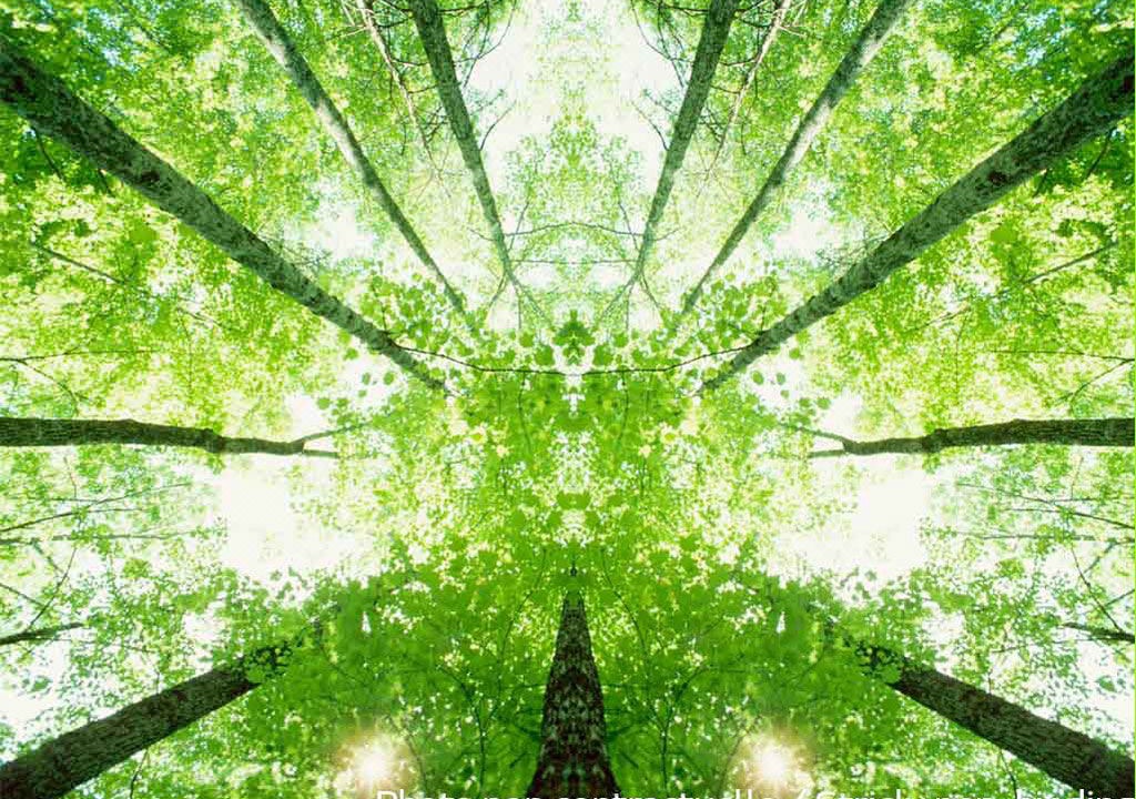 Photo of Others in Cognac