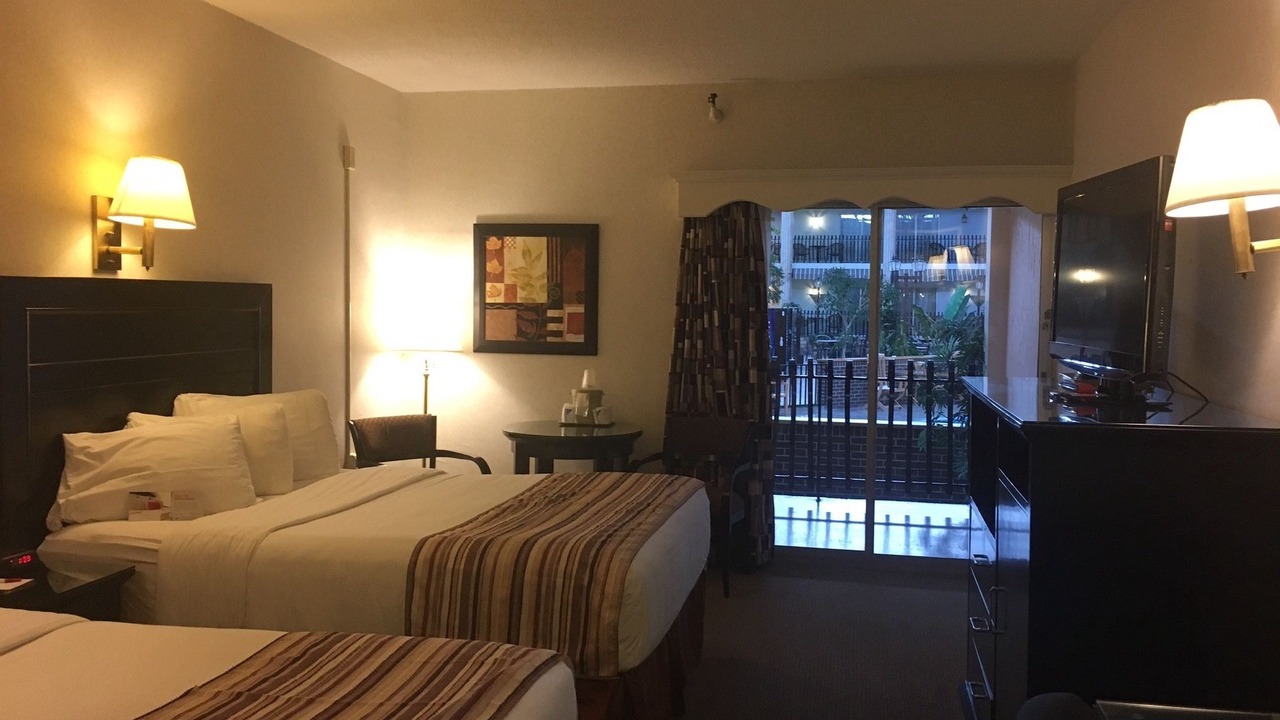 Photo of Others in Fredericton