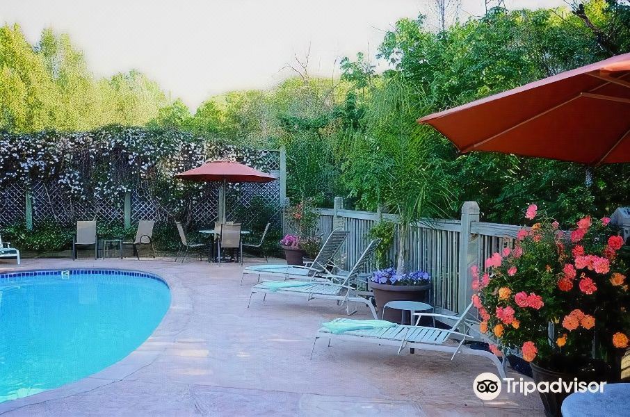 Photo of Outdoor in Willits