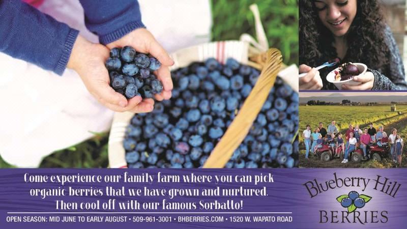 Photo of Human In Picture in Zillah