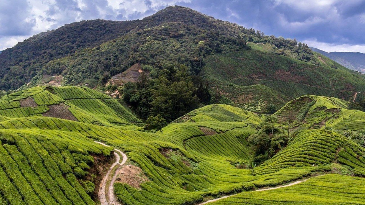 Photo of Others in Tanah Rata