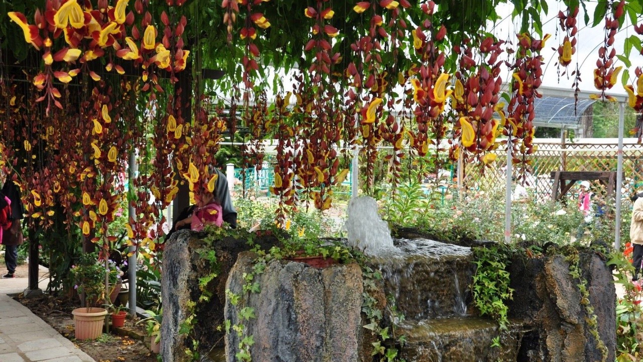 Photo of Others in Tanah Rata