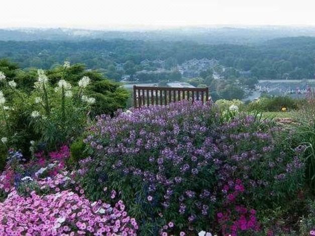 Photo of Others in Perinton