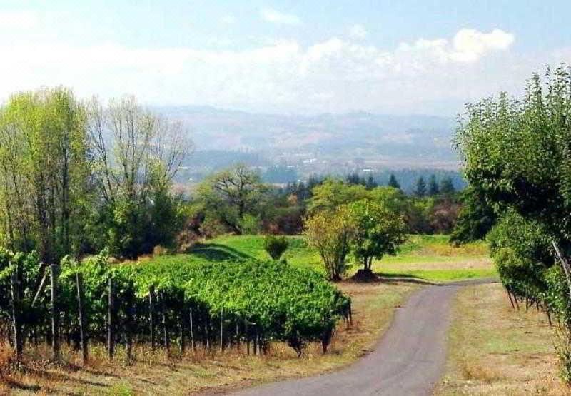 Photo of Outdoor in Tigard