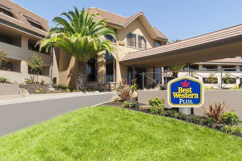 Photo of Buildings in Novato