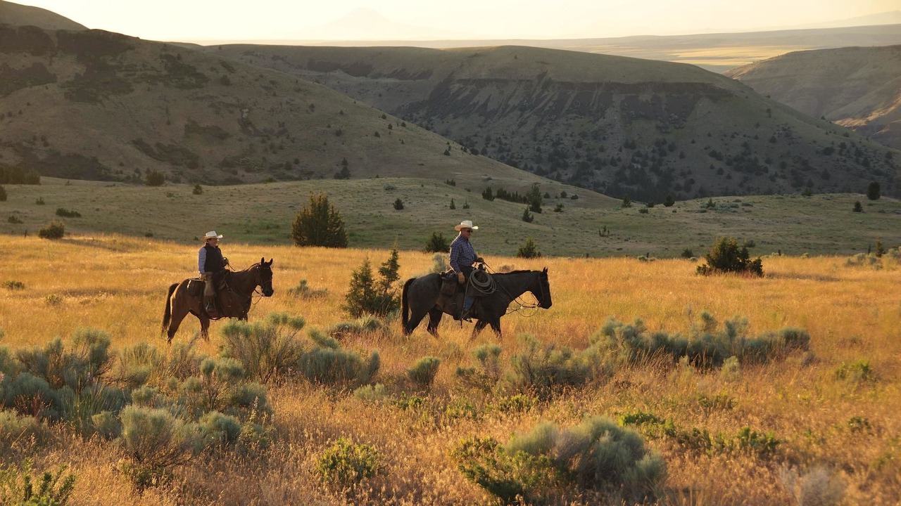Photo of Outdoor in Fossil