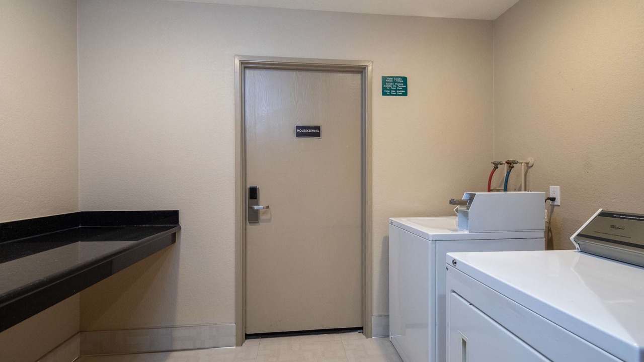 Photo of Others in Snail