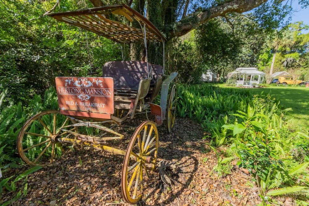 Photo of Others in Micanopy