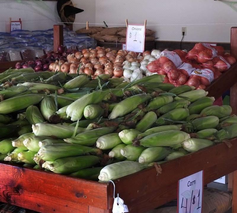 Photo of Livingroom in Zillah