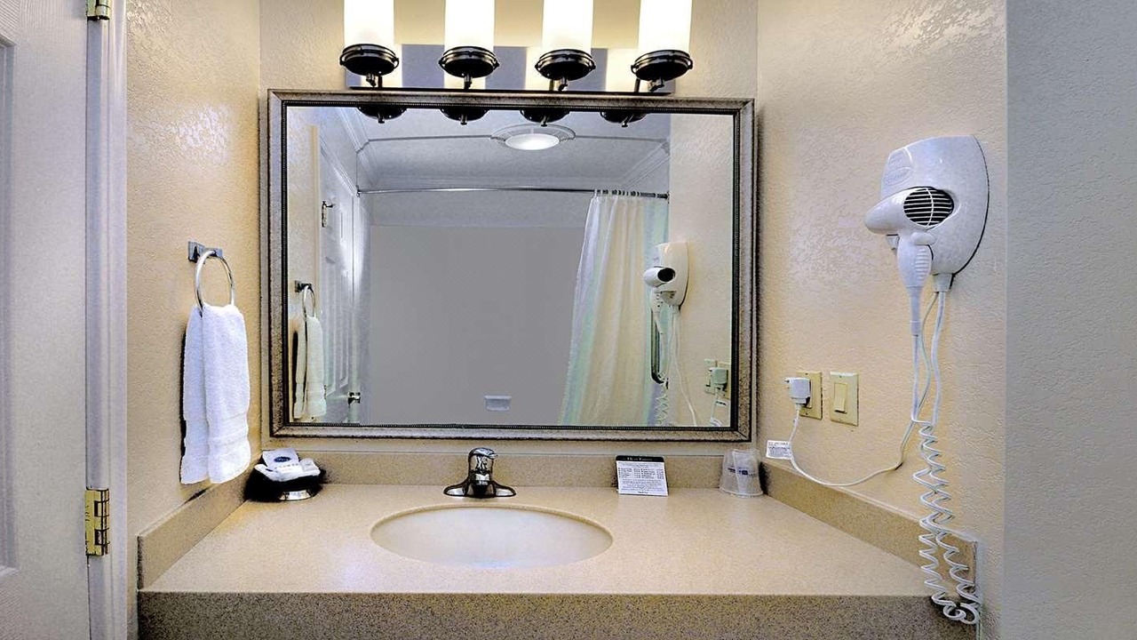 Photo of Others in Snail