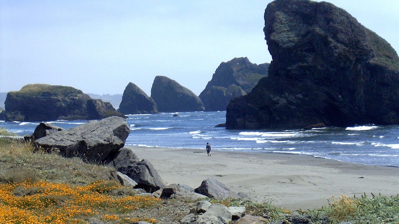 Photo of Outdoor in Gold Beach