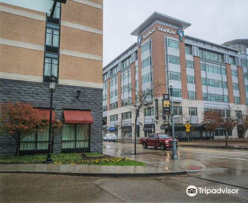 Photo of Buildings in North Shore
