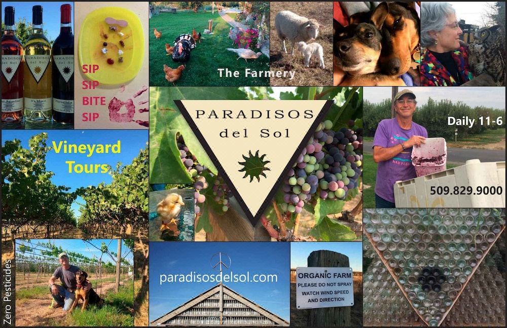 Photo of Others in Zillah