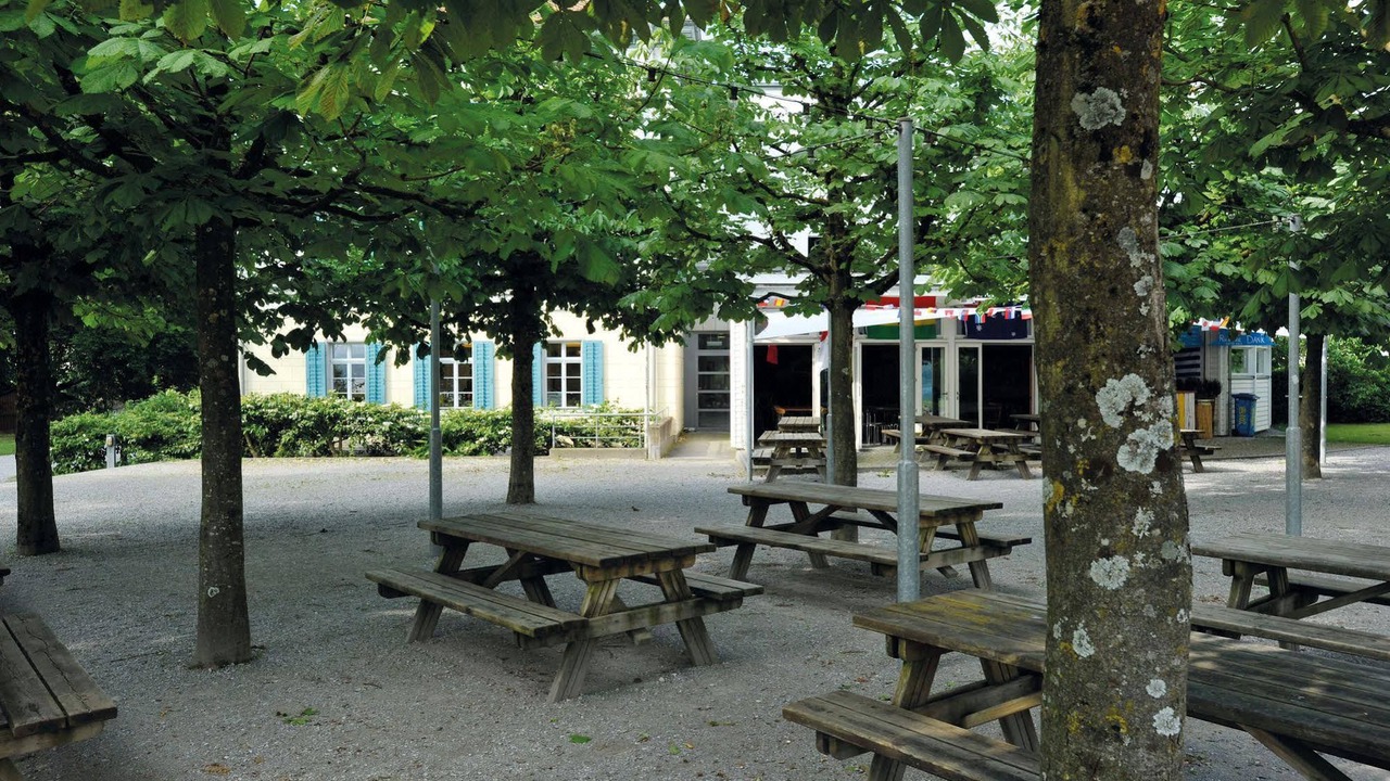 Photo of Patio Balcony in Horgen District