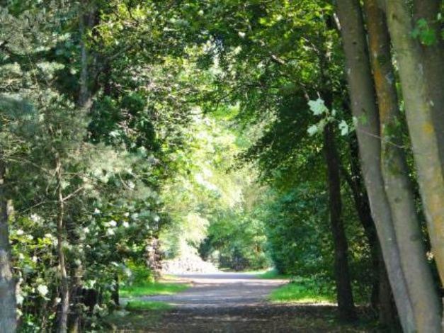 Photo of Others in Hindhead