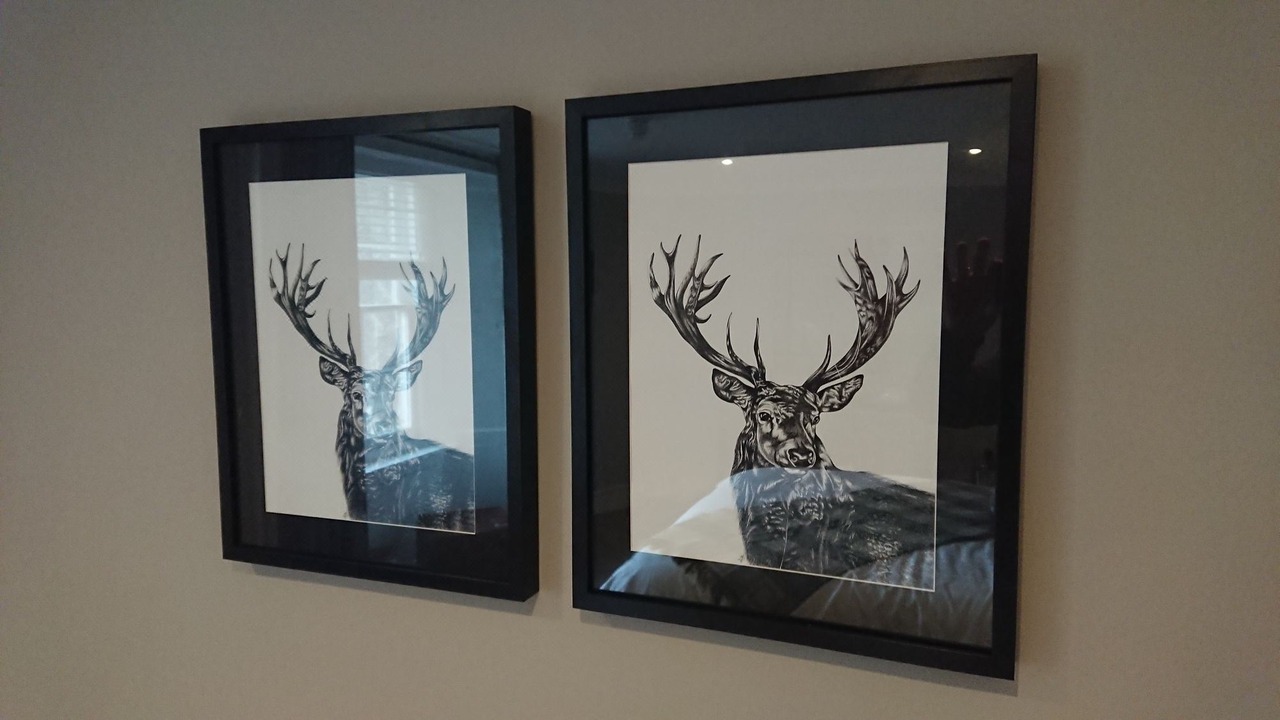 Photo of Others in Stirling