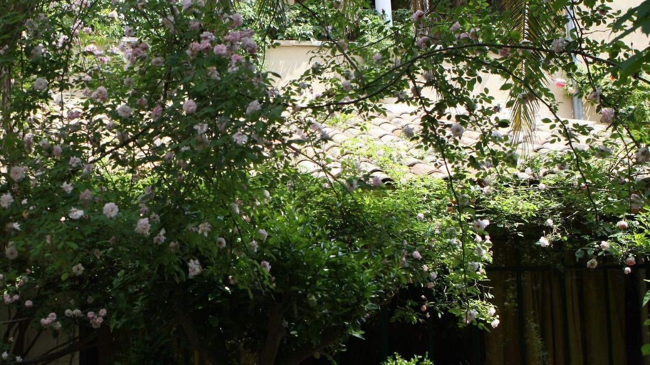 Photo of Others in Faubourg