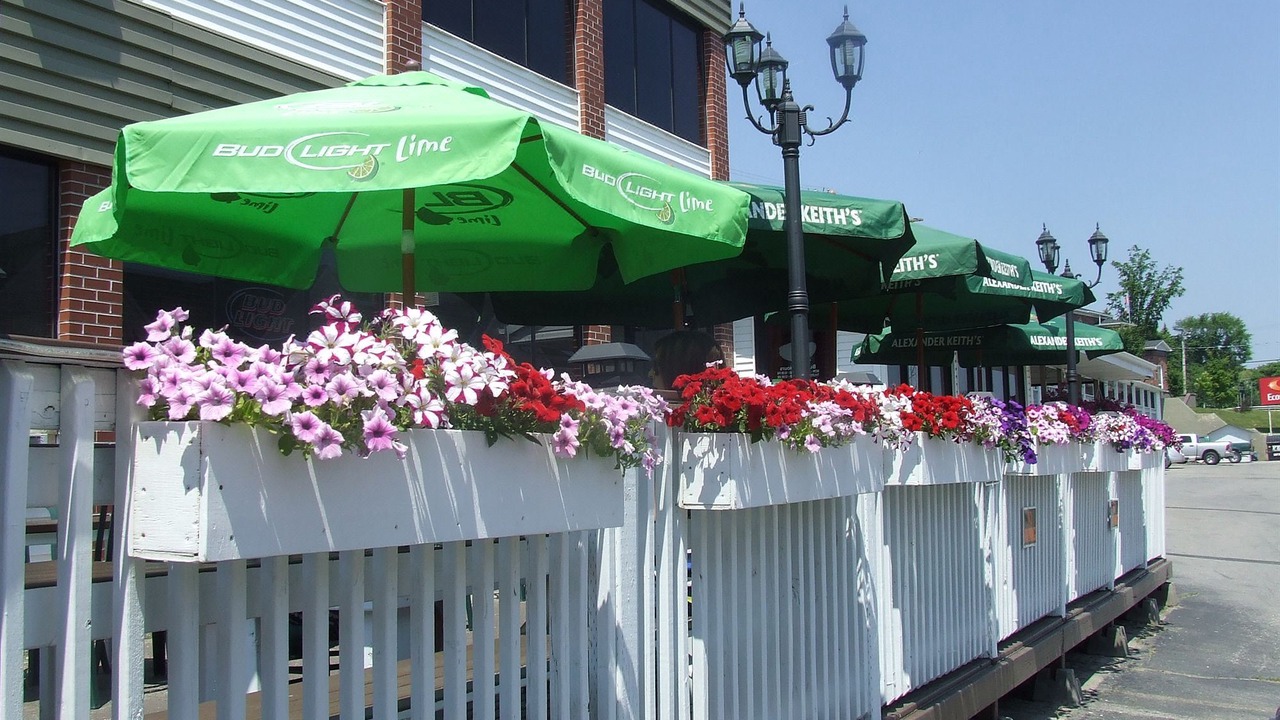 Photo of Buildings in Miramichi