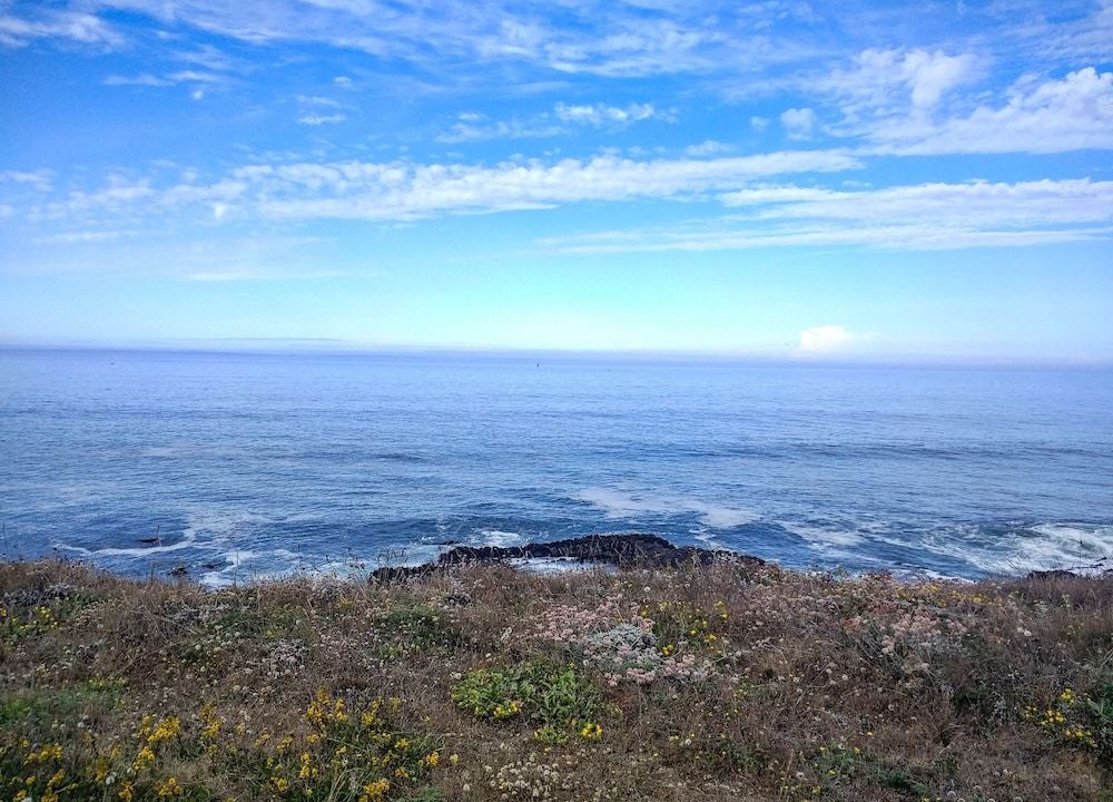Photo of Outdoor in Point Arena