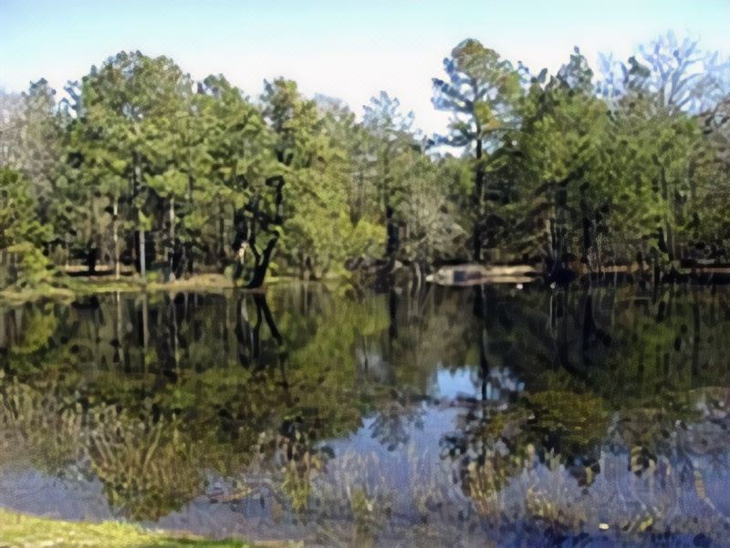 Photo of Outdoor in Madisonville