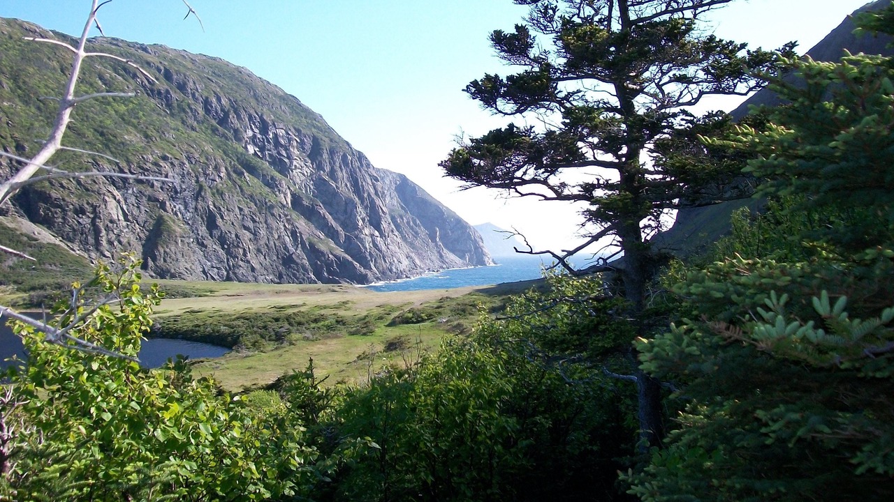 Photo of Others in Corner Brook