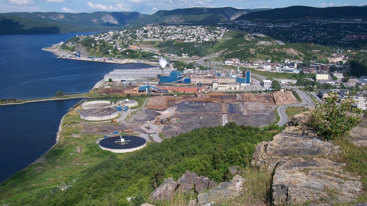 Photo of Others in Corner Brook