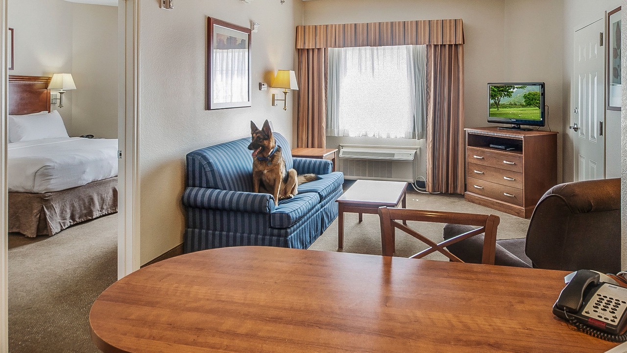 Photo of Livingroom in Longview