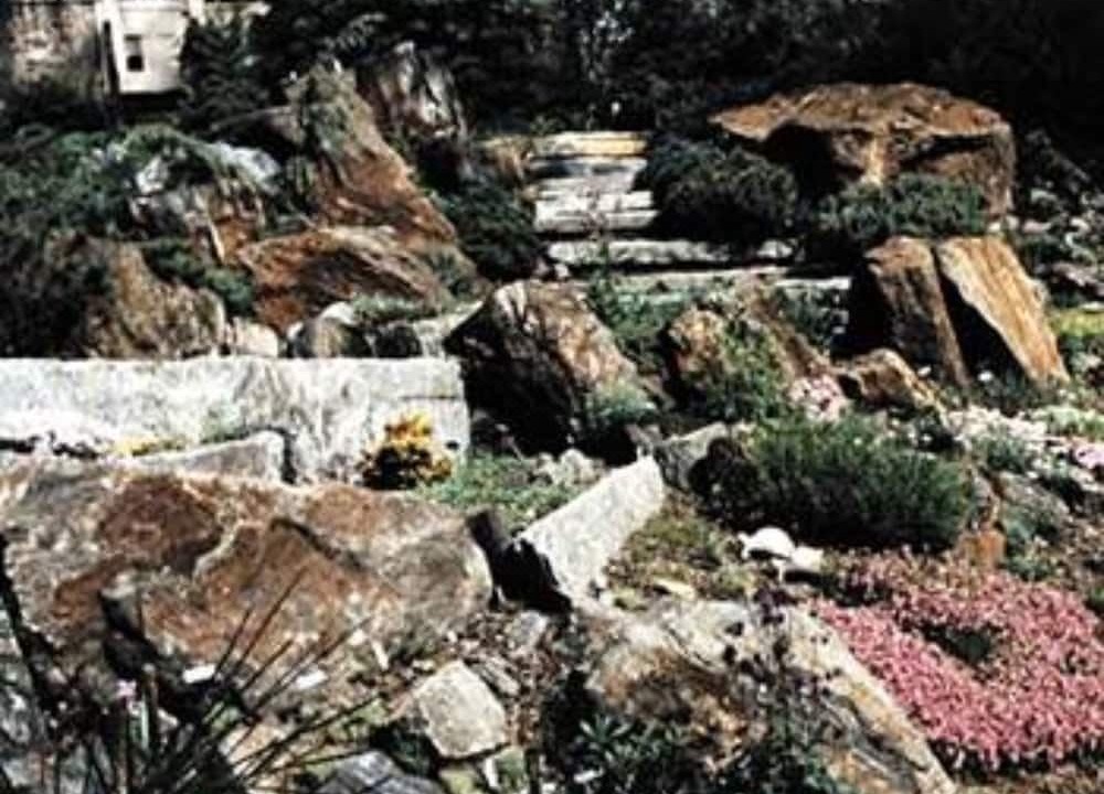 Photo of Others in Media