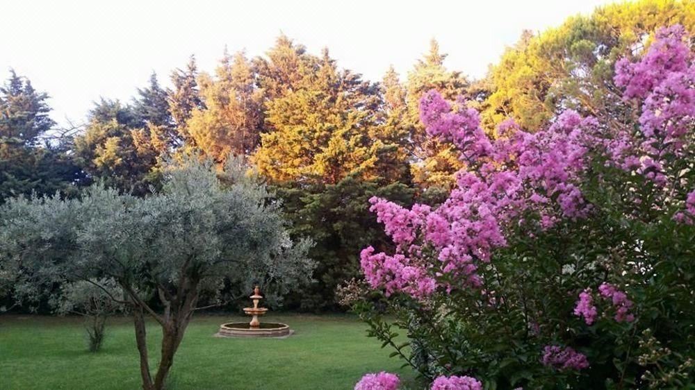 Photo of Outdoor in Pont-Saint-Esprit