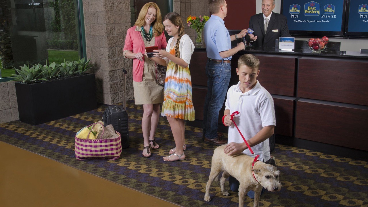 Photo of Human In Picture in Hazlet