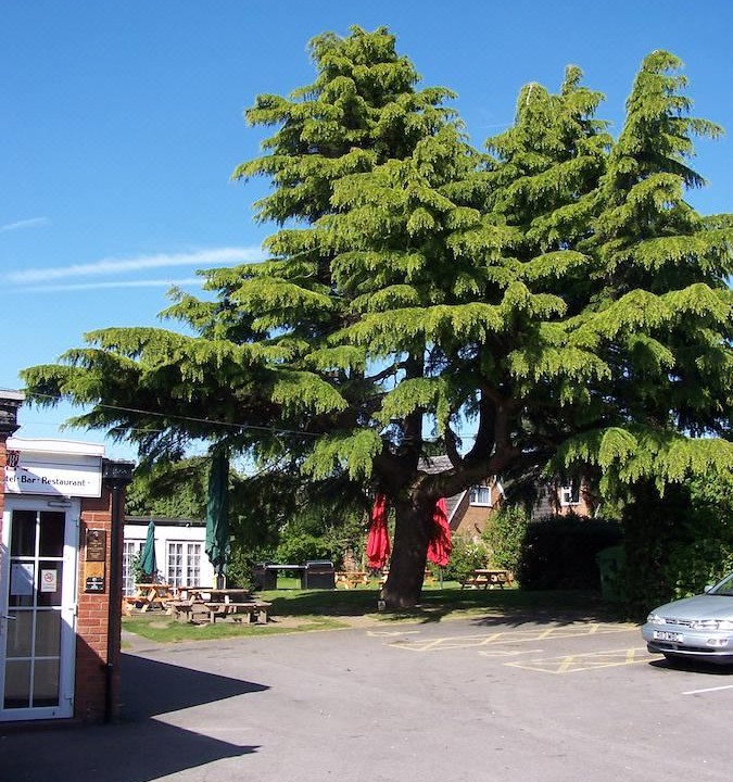 Photo of Buildings in Hilton