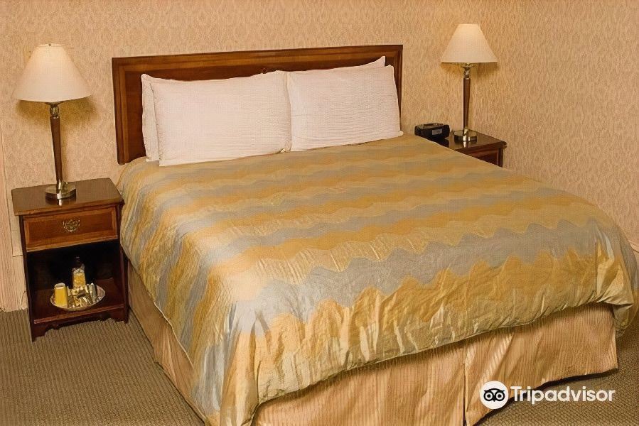 Photo of Bedroom in Downtown San Francisco