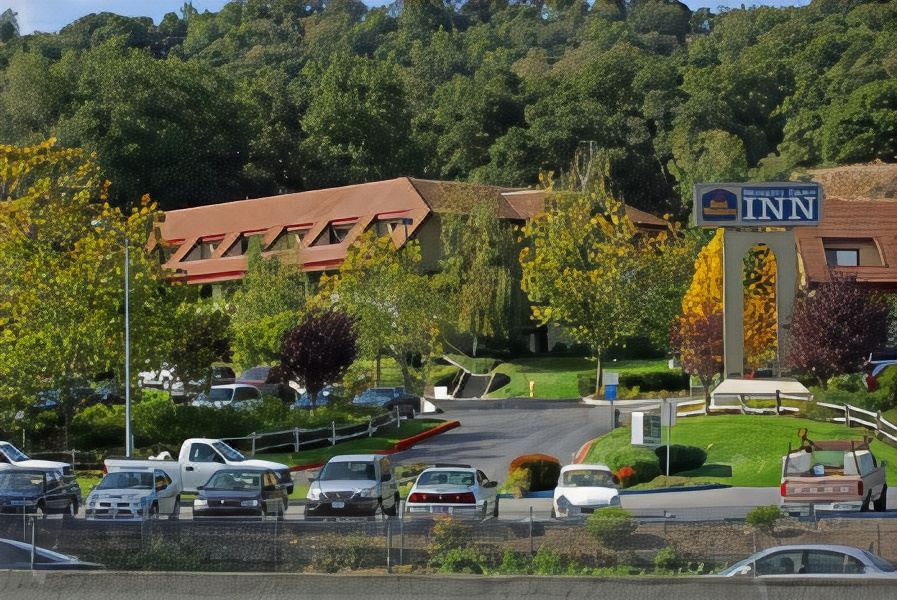 Photo of Others in Novato