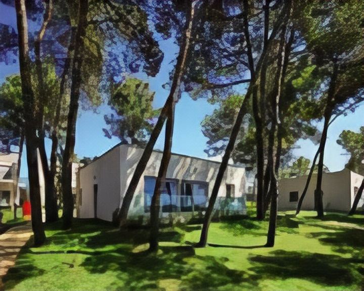 Photo of Buildings in Biograd na Moru