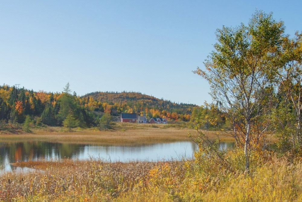 Photo of Others in Corner Brook