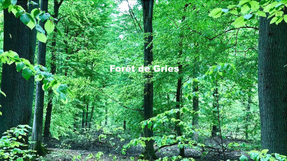 Photo of Others in Gries