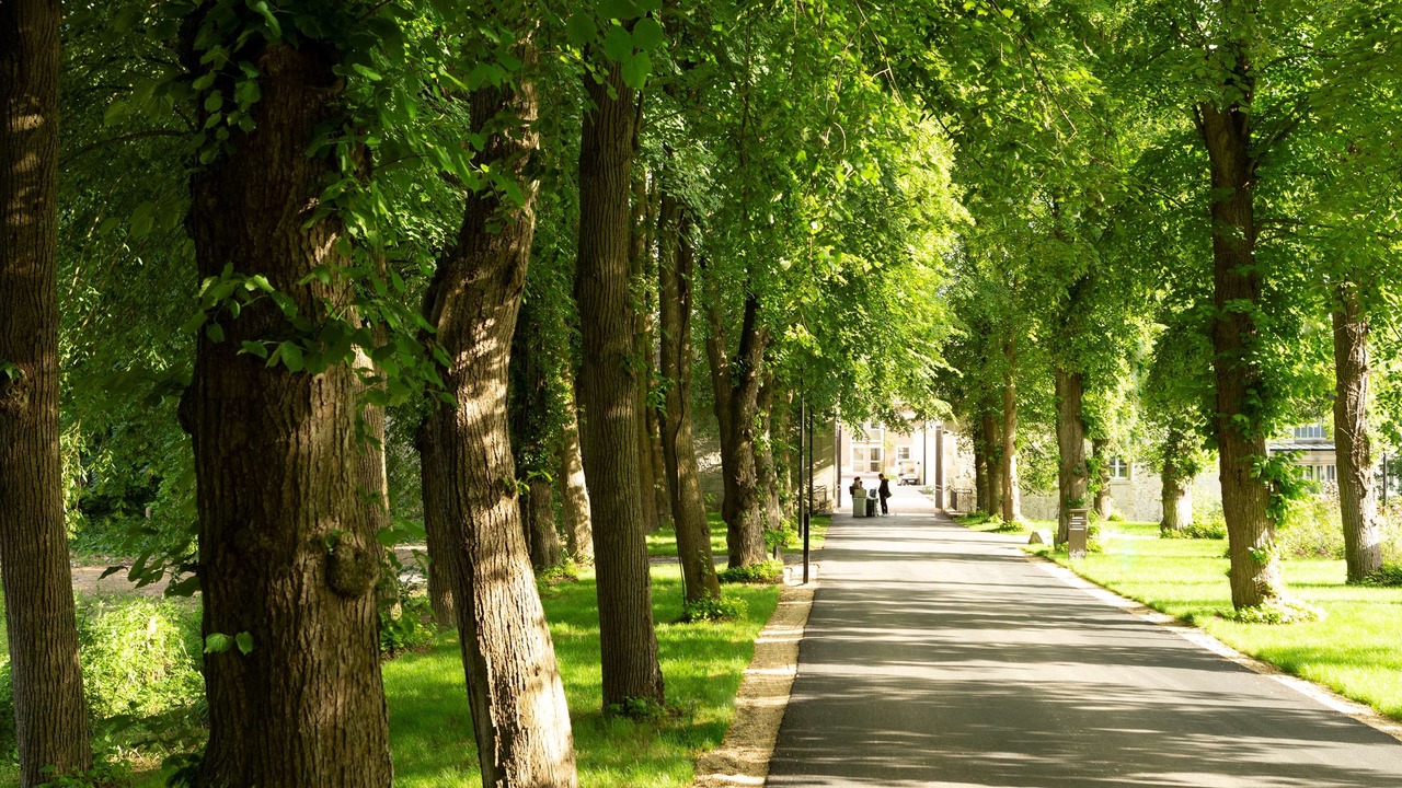 Photo of Others in Vineuil-Saint-Firmin