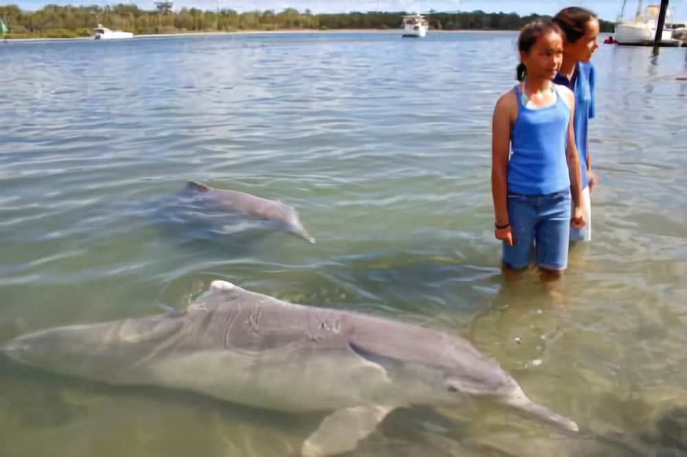 Photo of Human In Picture in Tin Can Bay