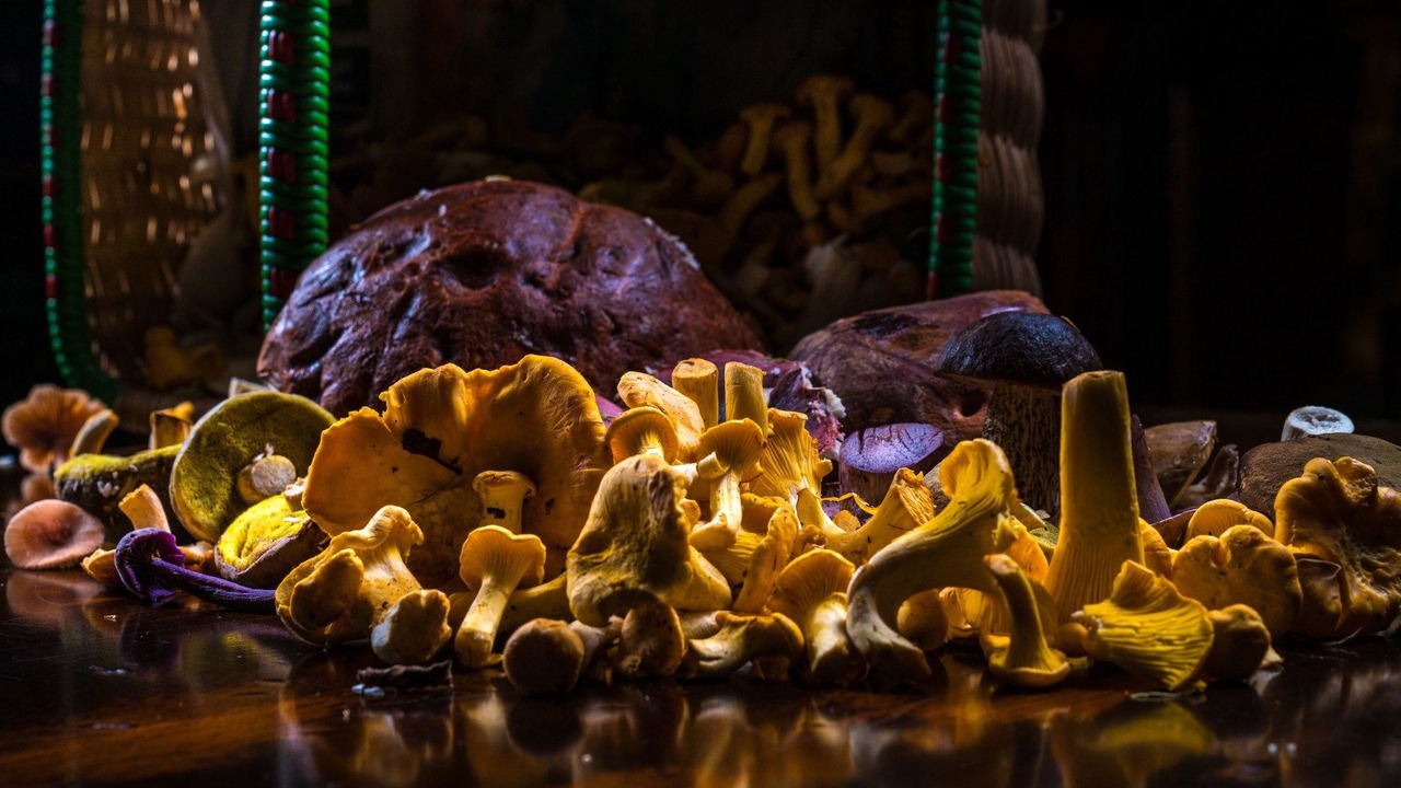 Photo of Others in Aberfoyle